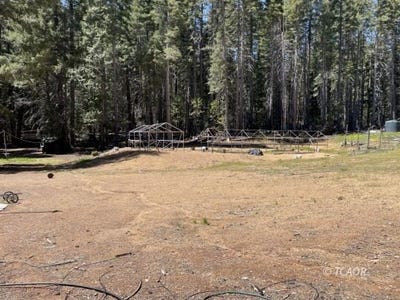/international/us/351-mule-lovers-lane-indian-valley-ca-110108029959/