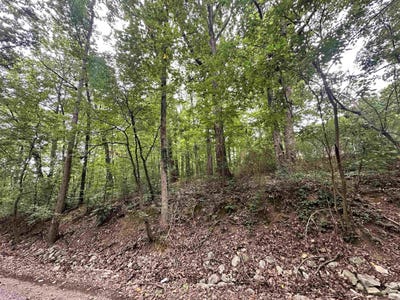 /international/us/oakhill-dr-lot-24-cullman-al-110108438162/