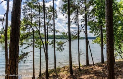/international/us/95-east-ridge-alexander-city-al-110100359569/