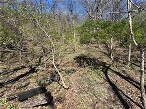 /international/us/000-bower-hill-road-upper-st-clair-pa-110107880763/