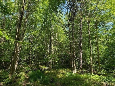 /international/us/1-19-mud-brook-road-lewis-ny-110097220246/?lang=zh-cn