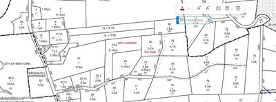 /international/us/0-larsen-dr-windham-ny-110101190268/?lang=zh-cn
