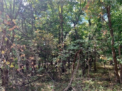 /international/us/9-enchanted-lane-linn-valley-ks-110119640087/