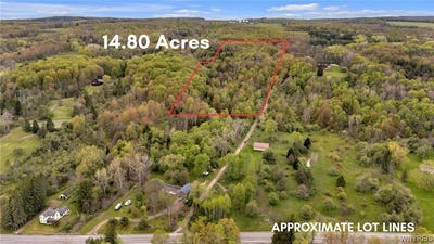 /international/us/10448-creek-road-sardinia-ny-110108196604/