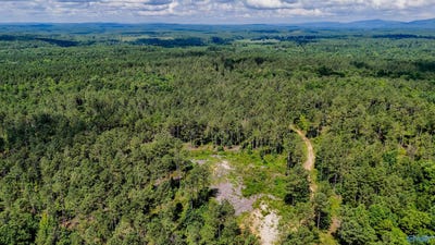 /international/us/1-county-road-65-fruithurst-al-110119966112/