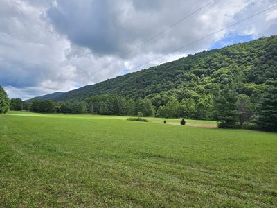 /international/us/upper-back-creek-road-mill-gap-va-110109734760/