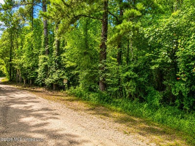 /international/us/belle-gardner-road-amite-la-110108914385/