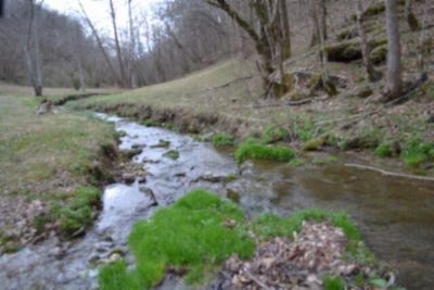 /international/us/290-hazel-huffines-lane-whitleyville-tn-110110299913/