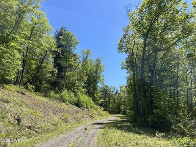 /international/us/tallman-hollow-road-montoursville-pa-110099382638/