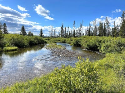 /international/us/highway-21-cow-camp-rd-c-stanley-id-110101609427/