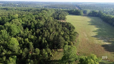 /international/us/joe-reeves-road-castleberry-al-110108090148/