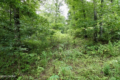 /international/us/1124-lick-creek-boat-dock-loop-parsons-tn-110101302933/?lang=zh-cn