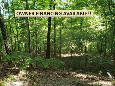 /international/us/l-5-b-1-arivaipa-drive-cherokee-village-ar-110086131616/