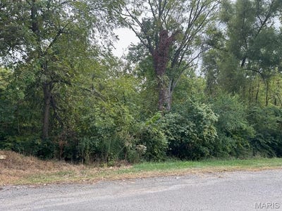 /international/us/tbd-n-cole-street-vandalia-il-110107603311/
