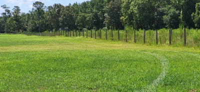 /international/us/5050-batavia-way-wagener-sc-110101180660/