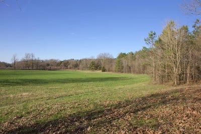 /international/us/4510-fayette-corners-dr-somerville-tn-110106214894/