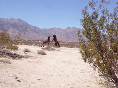 /international/us/borrego-valley-road-borrego-springs-ca-110108203286/