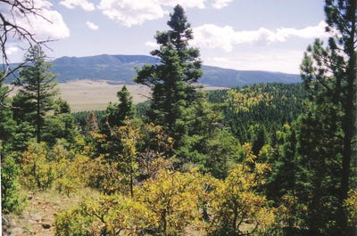 /international/us/lot-17-palo-flechado-ridge-road-angel-fire-nm-110084064721/