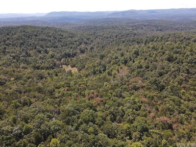 /international/us/haw-mountain-cemetery-road-calico-rock-ar-110102465929/