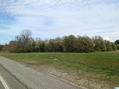 /international/us/0-4-acres-highway-21-lot-0-oxford-al-110106280140/