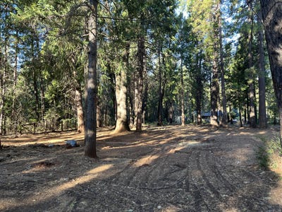 /international/us/7076-alward-way-shingletown-ca-110108852998/