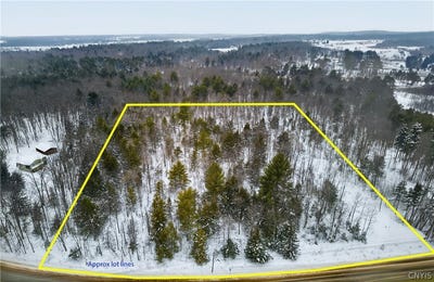 /international/us/193-county-route-11-west-monroe-ny-110105767161/