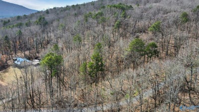 /international/us/3-36-acres-blowing-cave-road-gurley-al-110097588972/