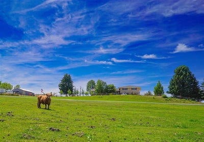 /international/us/4132-road-35-1-2-greybull-wy-110108817295/