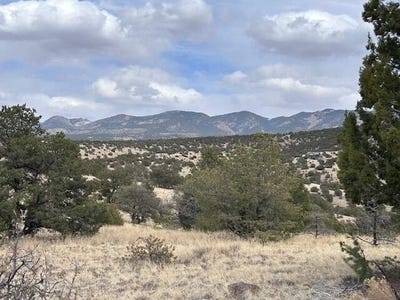 /international/us/magdalena-mountain-ranch-lot-5-magdalena-nm-110098672545/