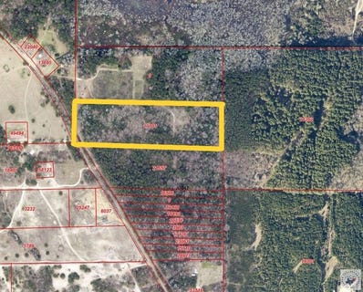 /international/us/sw-tbd-county-road-4557-atlanta-tx-110109995609/