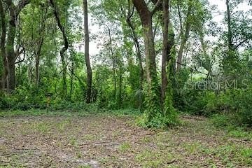 /international/us/8641-high-street-yalaha-fl-110101037945/?lang=zh-cn
