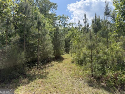 /international/us/008-george-milling-road-cuthbert-ga-110107833185/