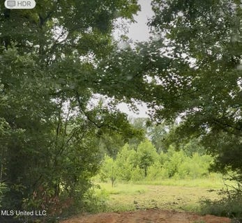 /international/us/us-51-crystal-springs-ms-110098585828/?lang=es