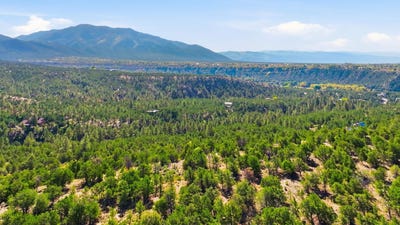 /international/us/deer-mesa-road-lot-11-valdez-nm-110105875726/