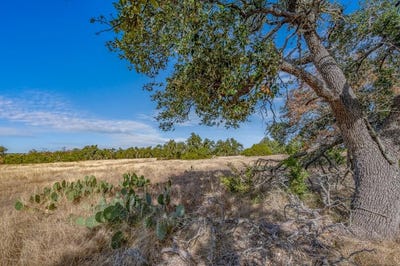 /international/us/234-lower-reservation-rd-harper-tx-110105048322/