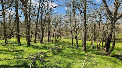 /international/us/40499-garrett-rd-pattison-tx-110104135644/