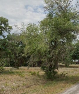 /international/us/9379-n-bromeliad-terrace-crystal-river-fl-110100395541/
