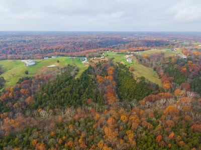 /international/us/15711-pfanstiehl-road-demossville-ky-110102579485/