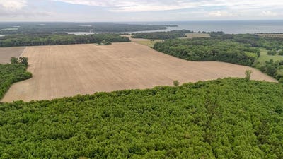 /international/us/wilsonia-neck-dr-lot-5a-machipongo-va-110108200157/