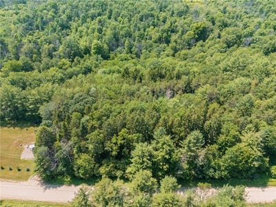 /international/us/middle-road-angelica-ny-110110270100/