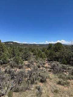 /international/us/lot-1-unit-5-tierra-amarilla-nm-110100703030/?lang=zh-cn