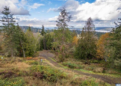 /international/us/495-louella-road-sequim-wa-110095515179/?lang=zh-cn