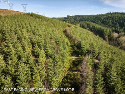 /international/us/kellett-rd-washougal-wa-110107782550/