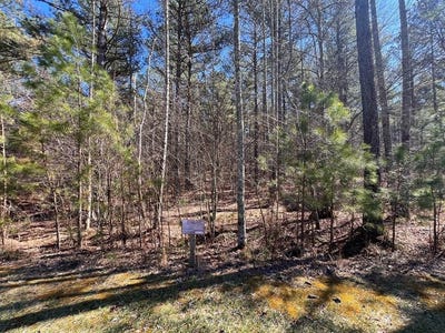 /international/us/deyton-drive-lot-50-blairsville-ga-110108466582/