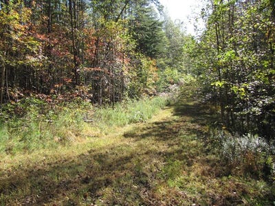 /international/us/melmark-acres-trail-lot-12-stuart-va-110046943808/