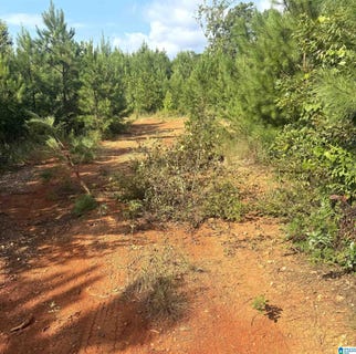 /international/us/county-road-49-lot-0-muscadine-al-110108498558/