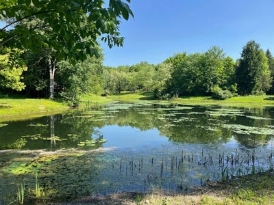 /international/us/40-cedar-lane-varysburg-ny-110100748633/?lang=en