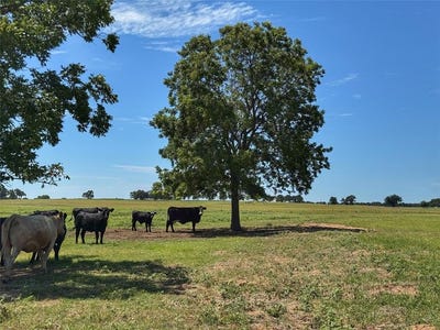 /international/us/3991-lone-star-road-poolville-tx-110101265974/