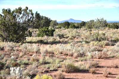 /international/us/n-santa-clara-road-williams-az-110120092779/