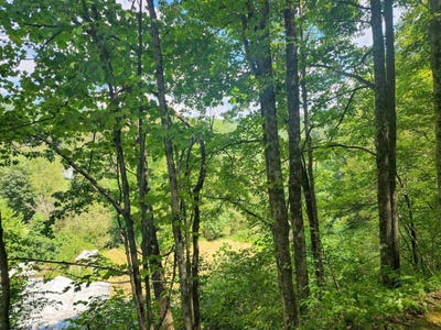 /international/us/166-brown-road-wallace-wv-110101917062/